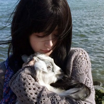 罗马尼亚寻宝记